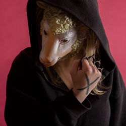 Picture of Pilz