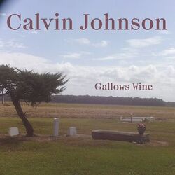 Picture of Calvin Johnson