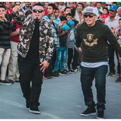 Picture of Crooked Stilo