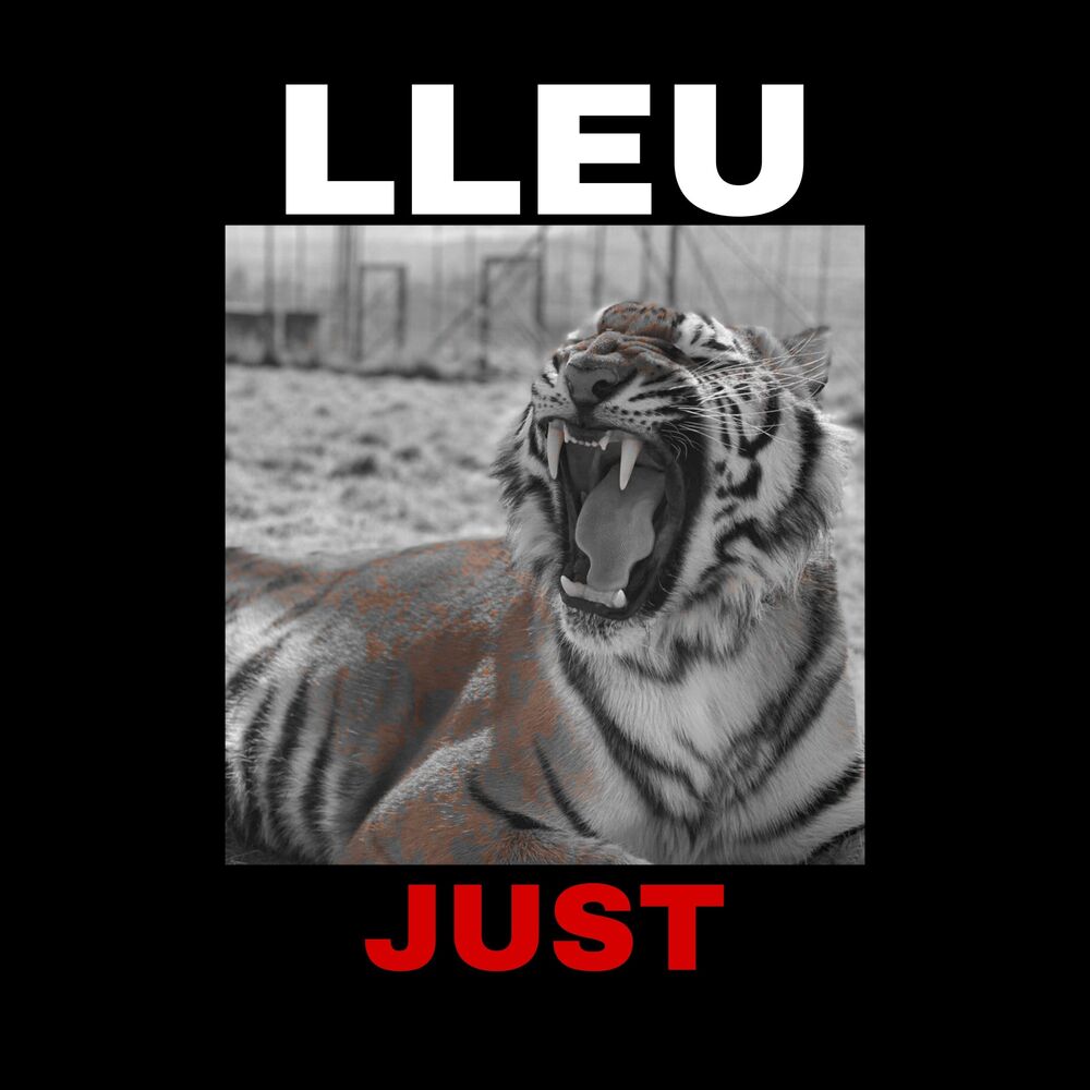 Picture of Lleu