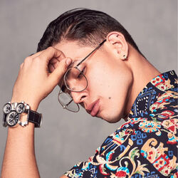 Picture of Stiv