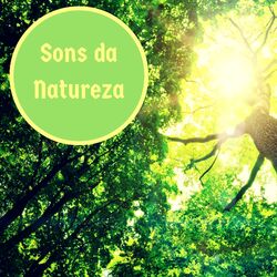 Picture of Natureza & Sons da Natureza Relax