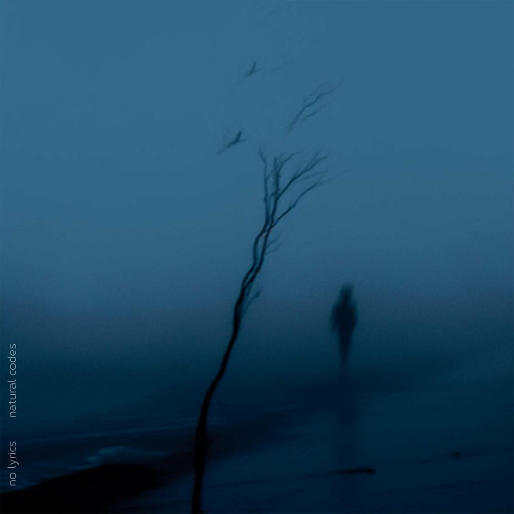 Picture of No Lyrics