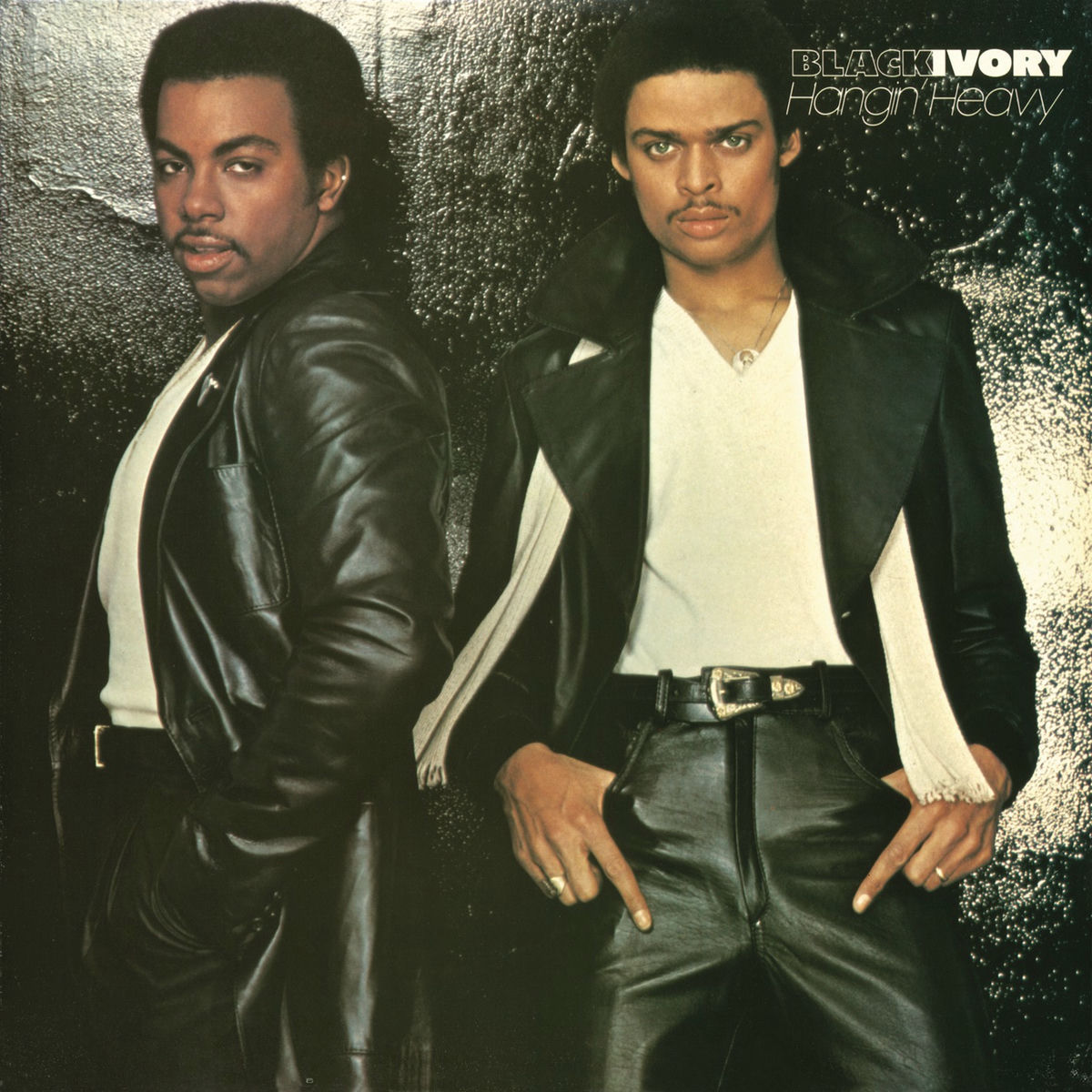 Artist picture of Black Ivory