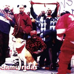 Picture of Bloods