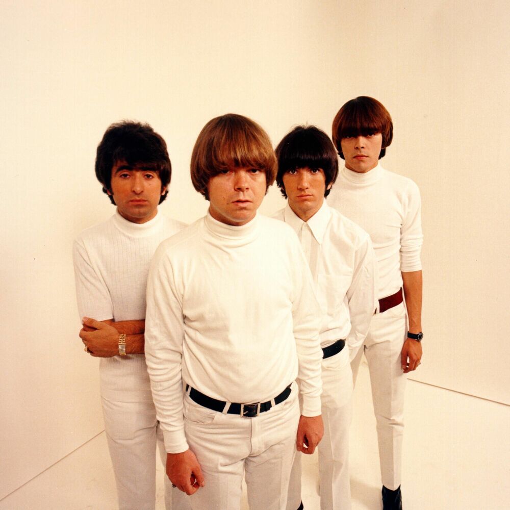 Picture of The Standells