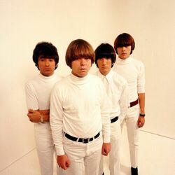 Picture of The Standells