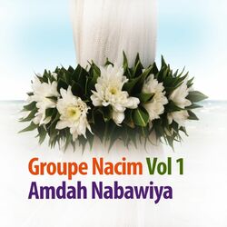 Picture of Groupe Nacim