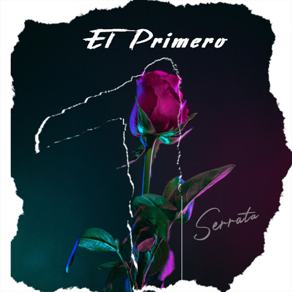 Picture of Serrata