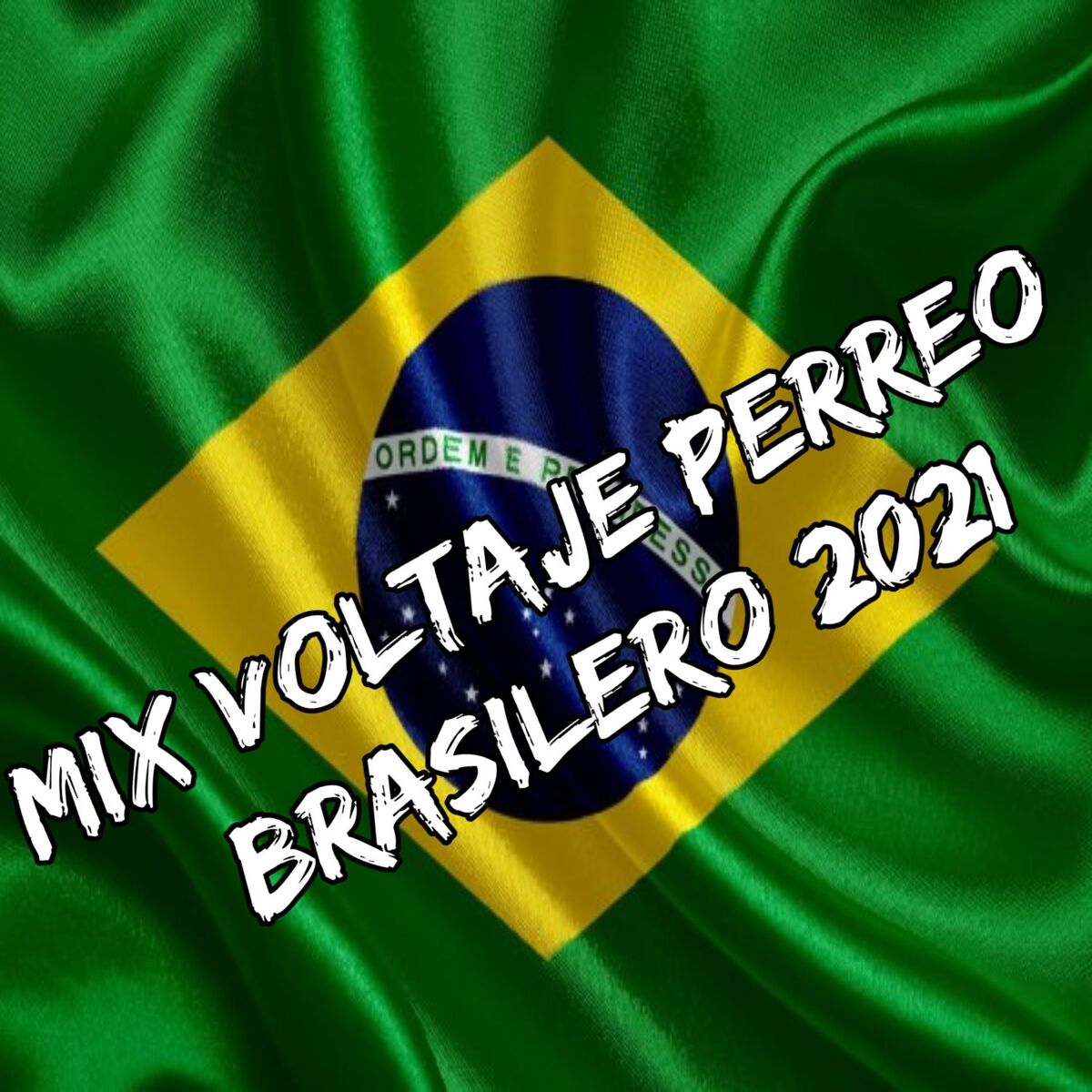 Artist picture of Perreo Brasileño