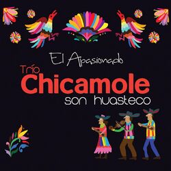 Picture of Trio Chicamole Son Huasteco