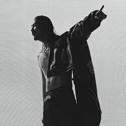 Picture of Jin Dogg