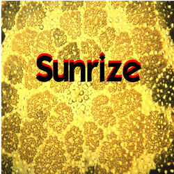 Picture of Sunrize