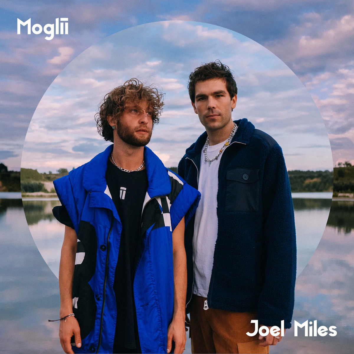 Artist picture of Joel Miles