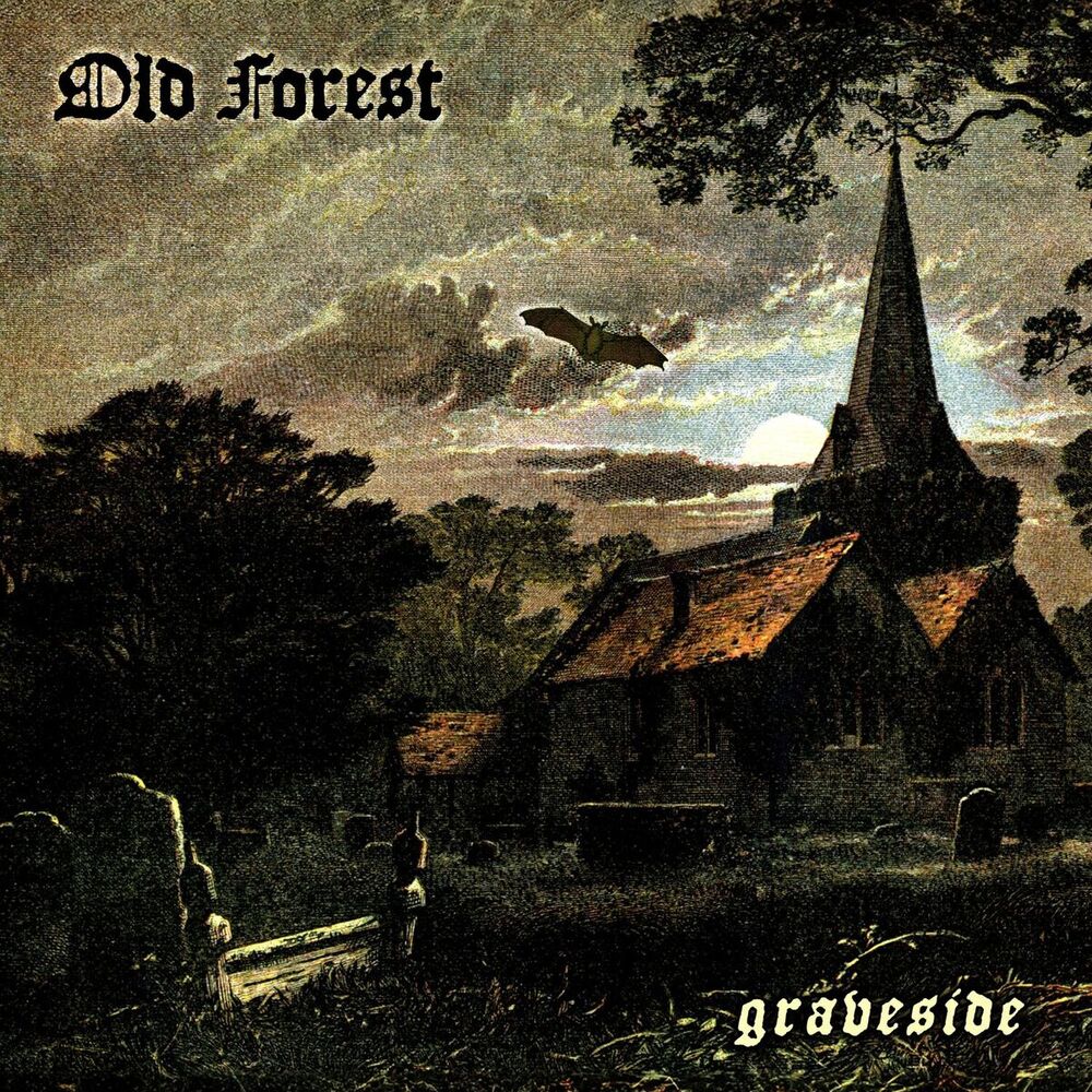 Picture of Old Forest