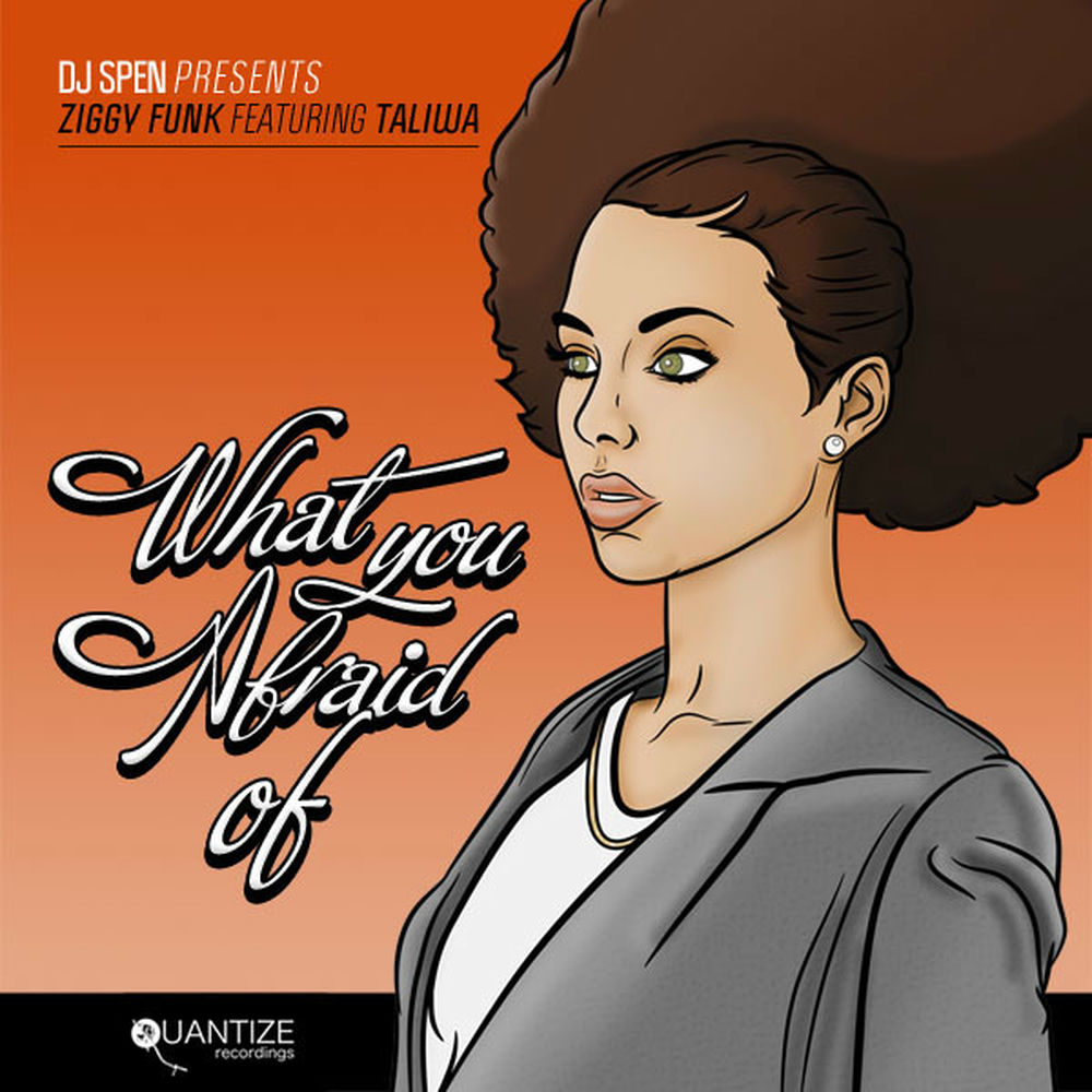 Photo de l'artiste Ziggy Funk