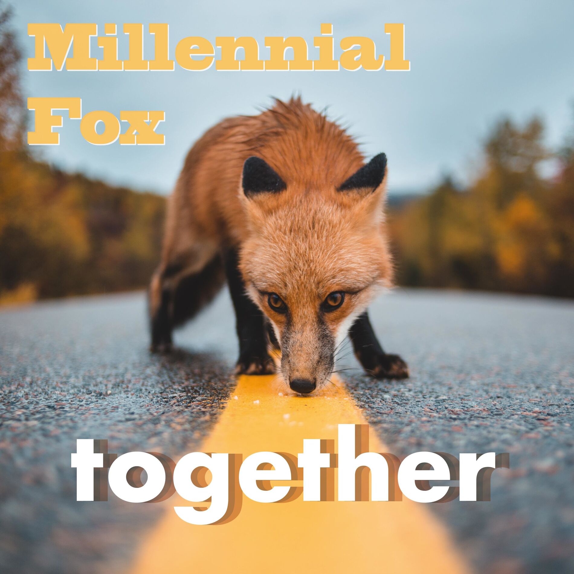Millennial Fox