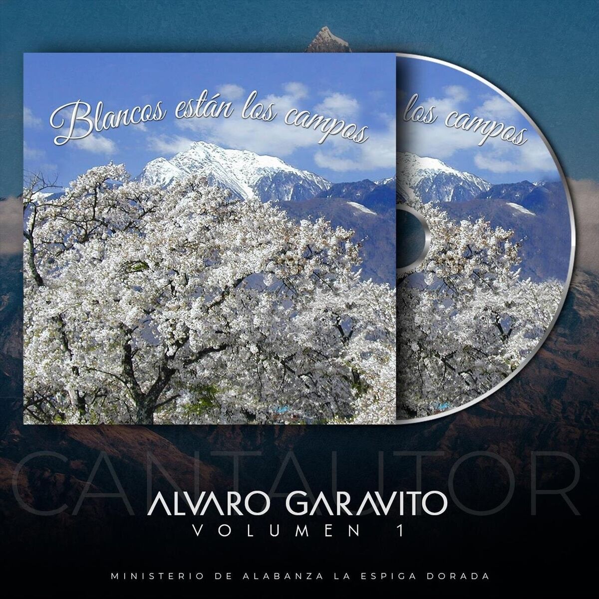 Artist picture of Alvaro Garavito
