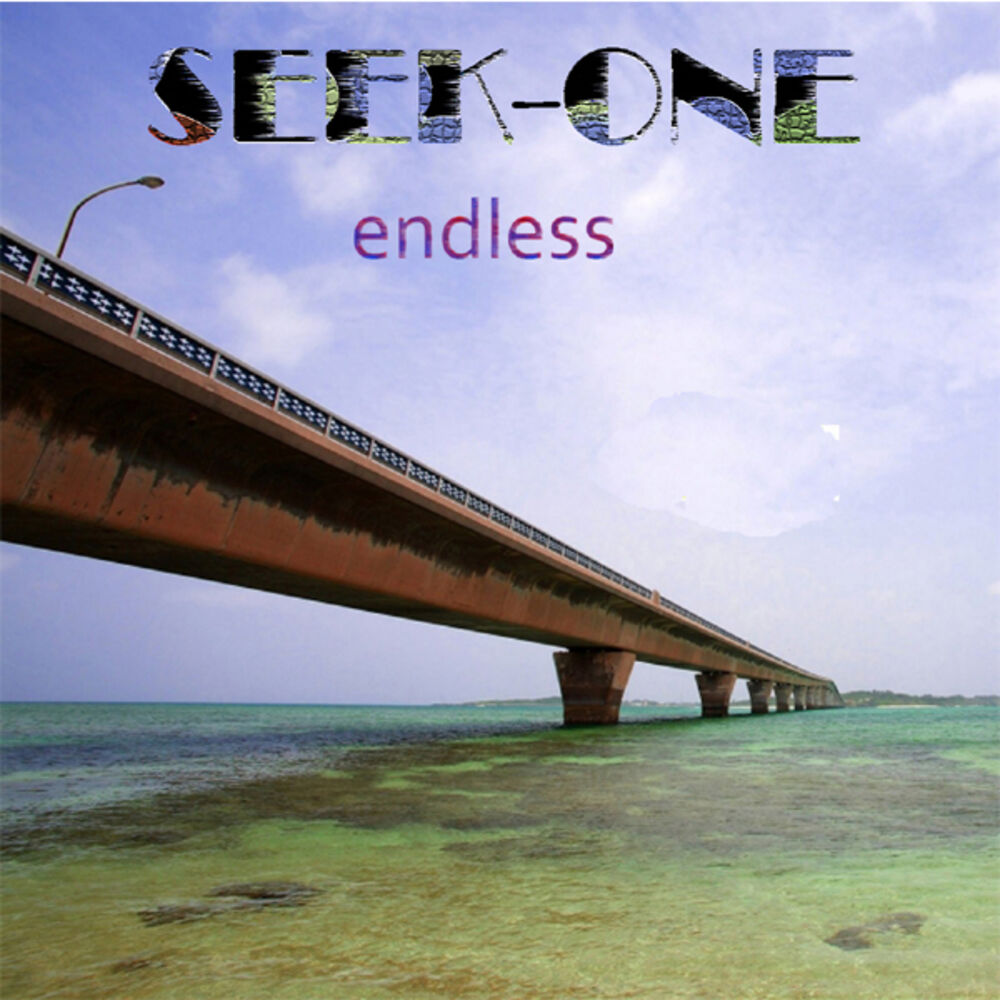 Picture of Seek-One