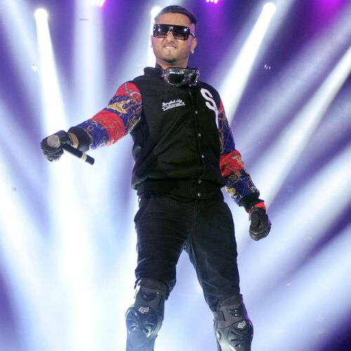 Image for Yo Yo Honey Singh