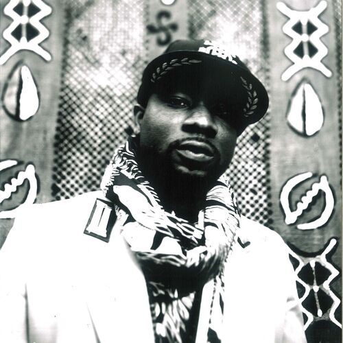 【中古】 Blitz The Ambassador / Afropolitan Dreams Afropolitan Dreams | Blitz The Ambassador | Jakarta Records