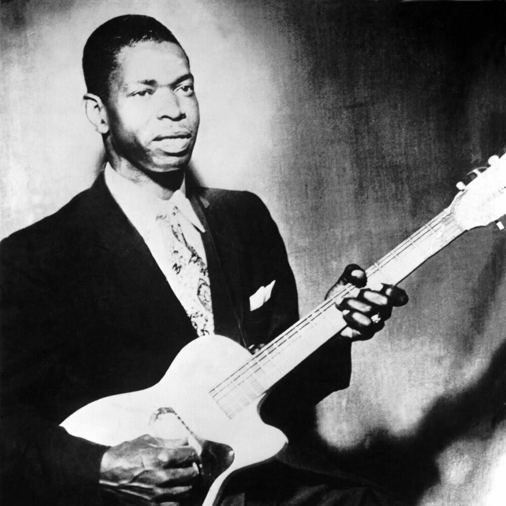 Picture of Elmore James