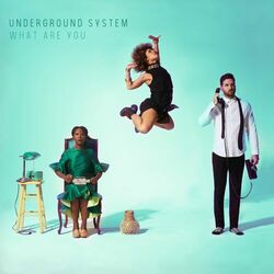 Picture of Underground System