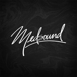 Picture of Medsound