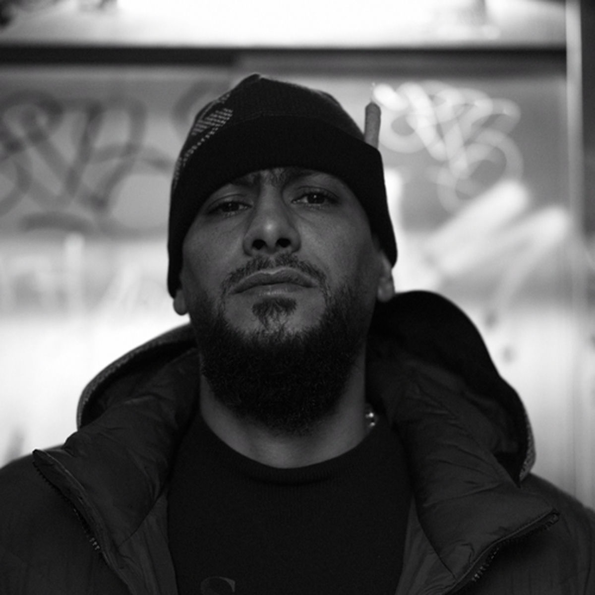 Artist picture of Gringo