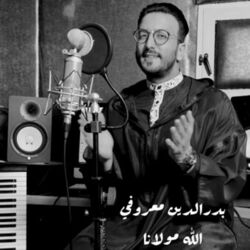 Picture of Badreddine Maaroufi