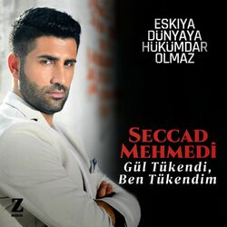 Picture of Seccad Mehmedi