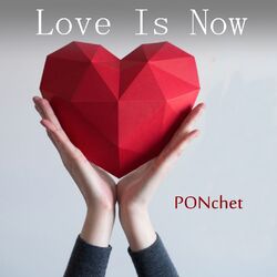 Picture of PONchet