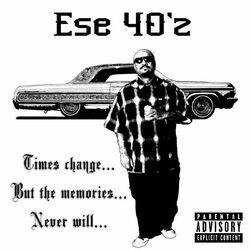 Picture of Ese 40'z