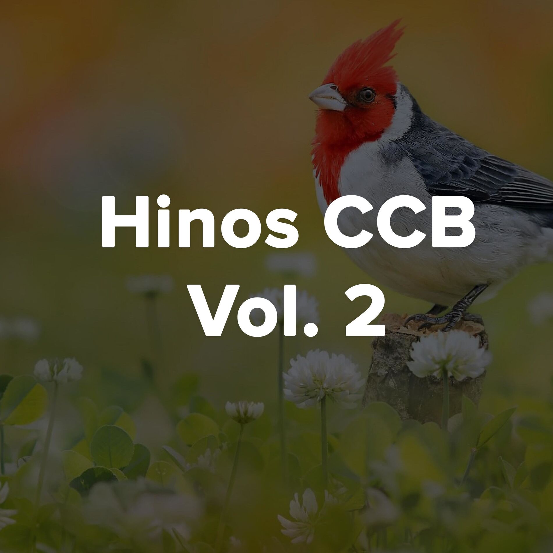 CCB Hinos