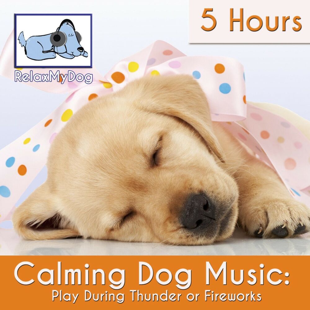 Picture of RelaxMyDog