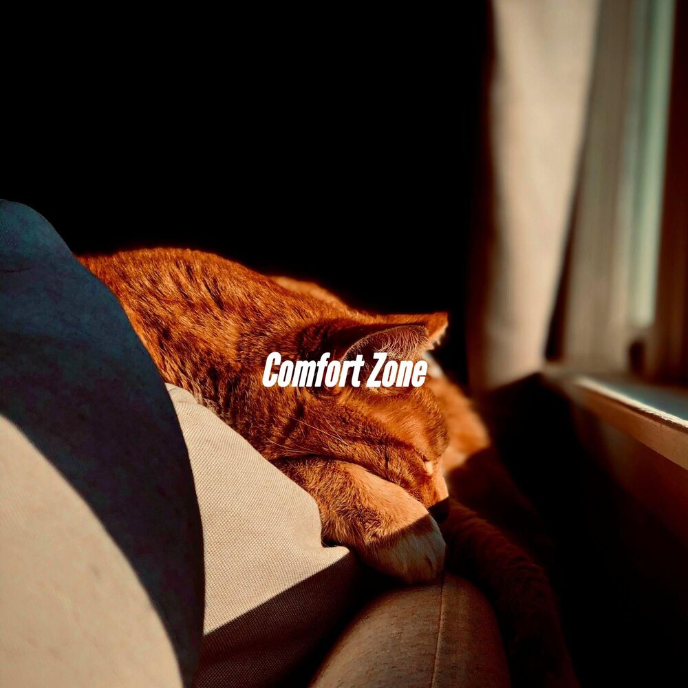 Picture of Coffee Lounge Jazz Chill Out