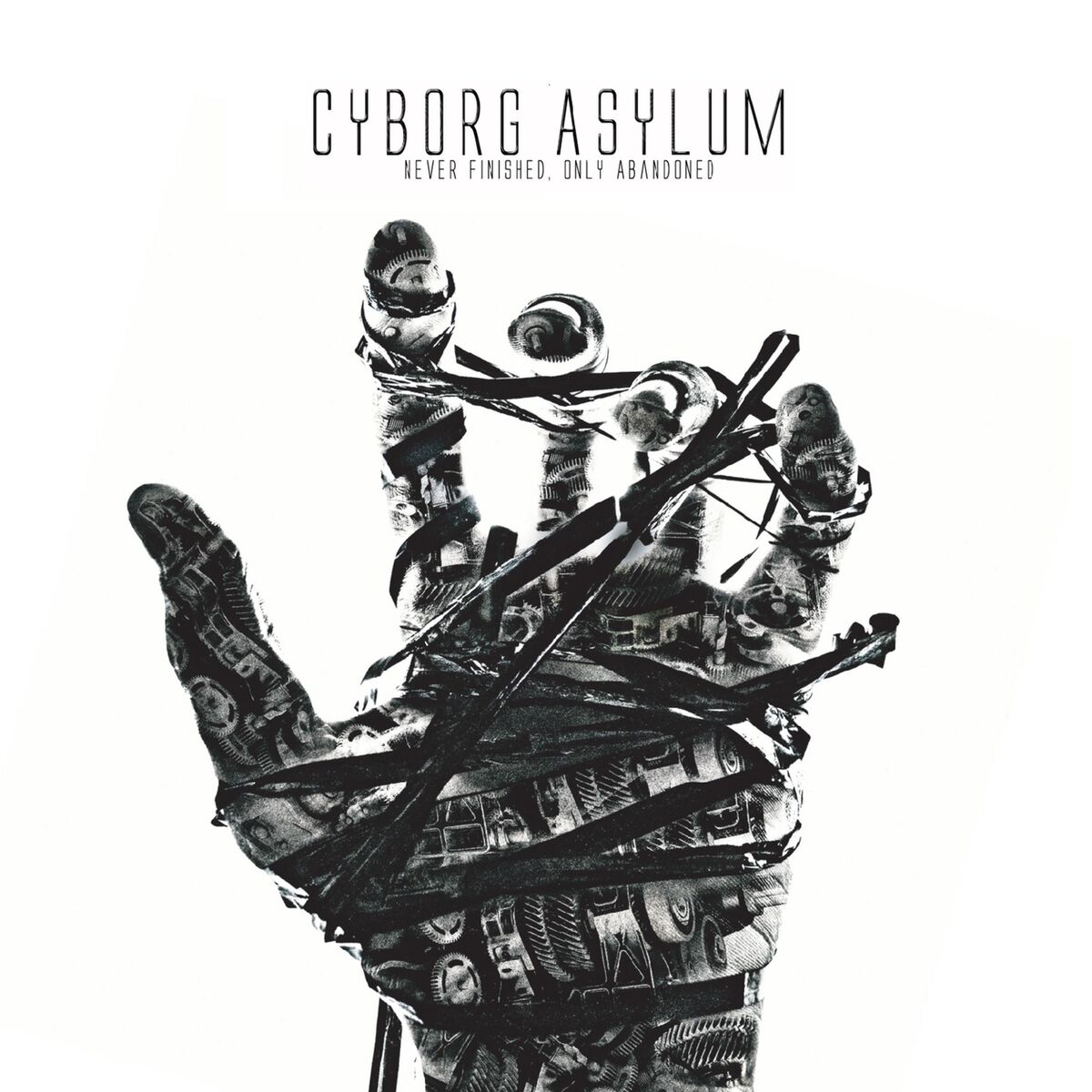 Cyborg Asylum