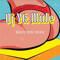 Picture of DJ Yk Mule