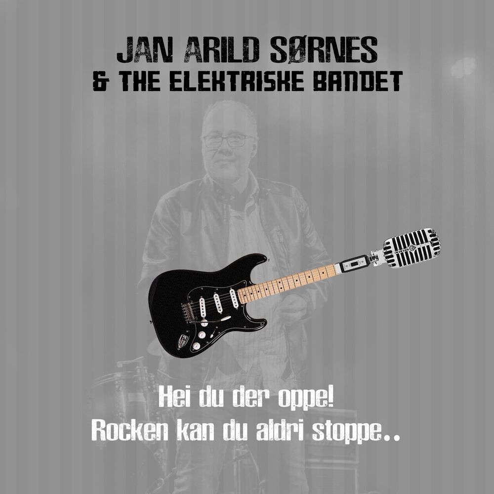 Picture of The Elektriske Bandet