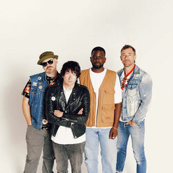 Picture of Plain White T's