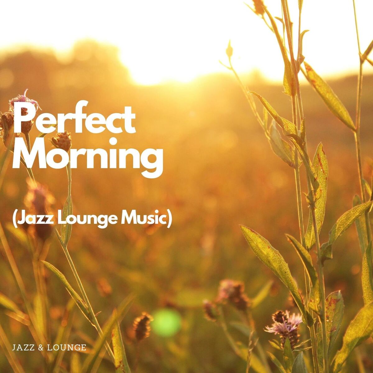Artist picture of Jazz & Lounge