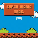 Super Mario Bros