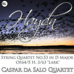 Picture of Caspar Da Salo Quartet