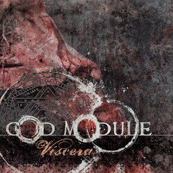 Picture of God Module