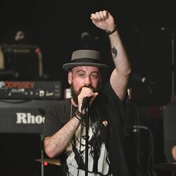 Picture of The Motet