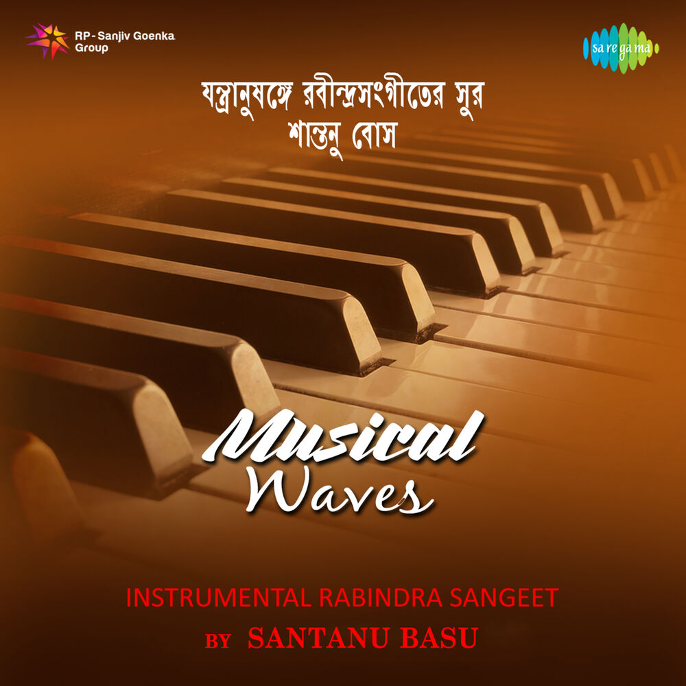 Picture of Santanu Basu