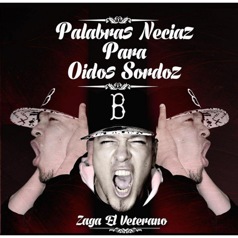 Picture of Zaga El Veterano