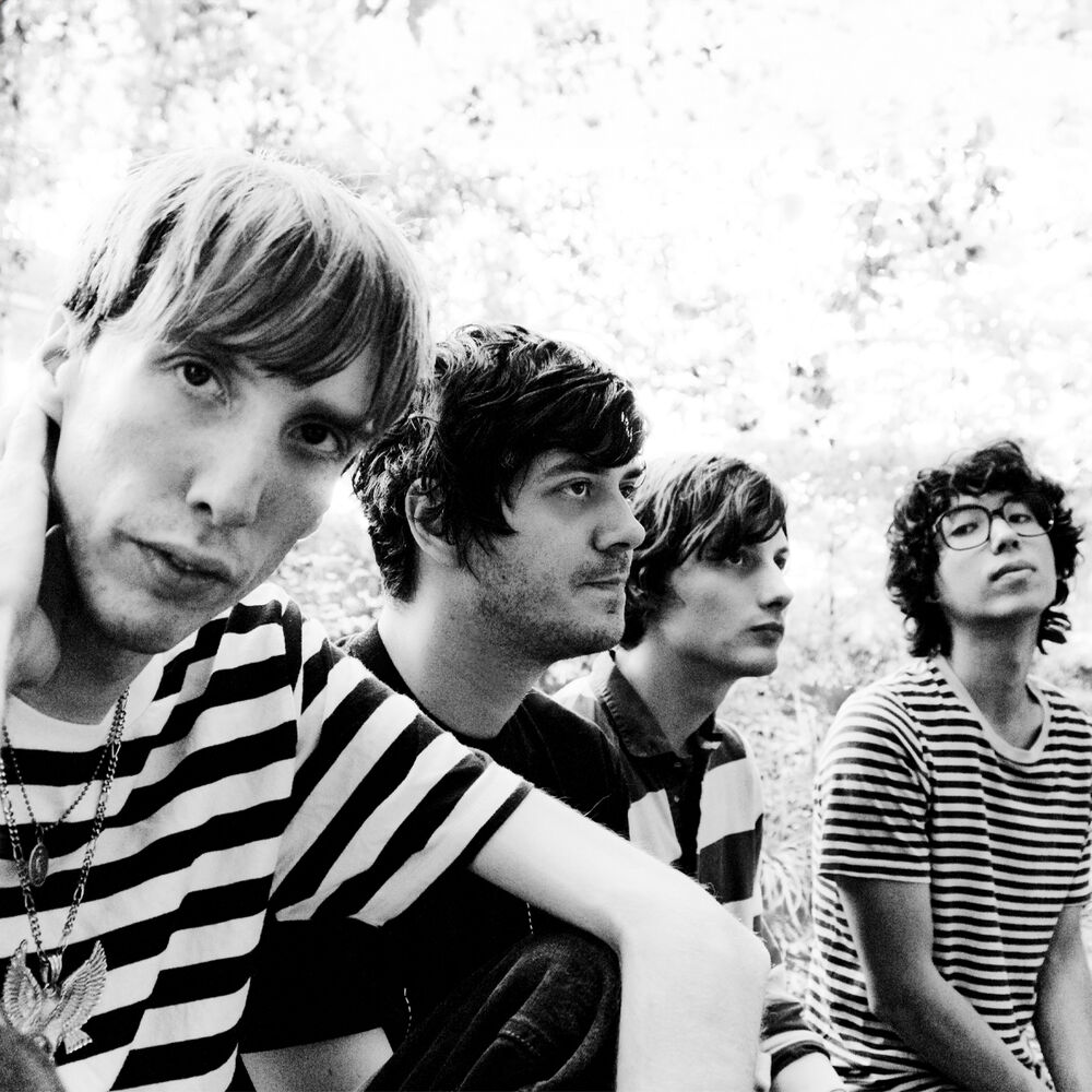 Picture of Deerhunter