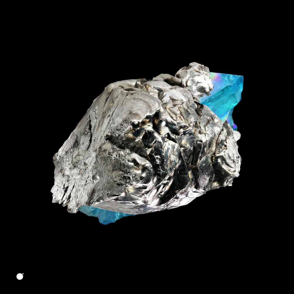 Picture of Ancestralis