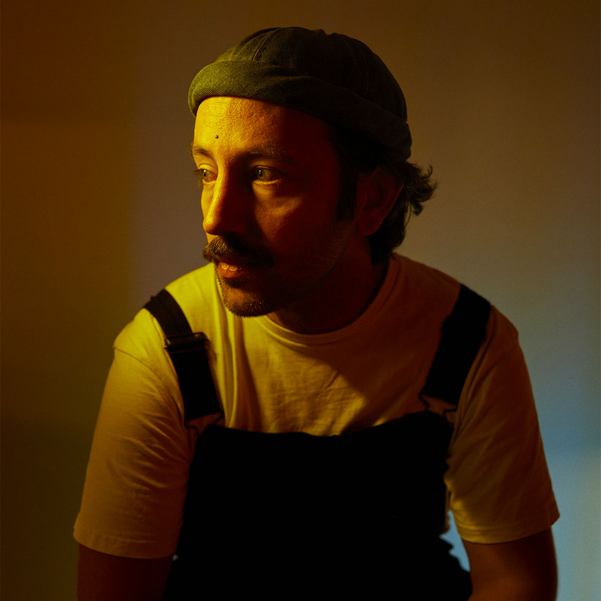 Artist picture of Mangabey